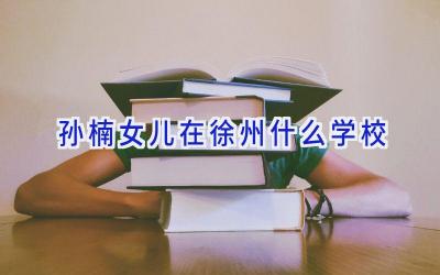 孙楠女儿在徐州什么学校插图