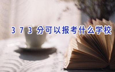 373分可以报考什么学校插图
