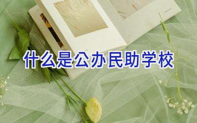 什么是公办民助学校插图