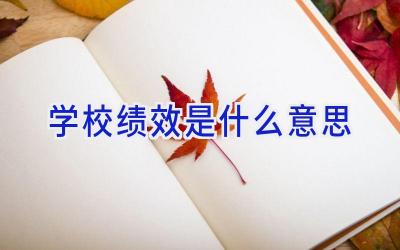 学校绩效是什么意思插图