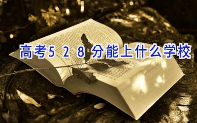 高考528分能上什么学校插图