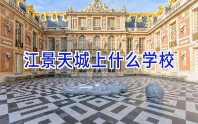 江景天城上什么学校插图