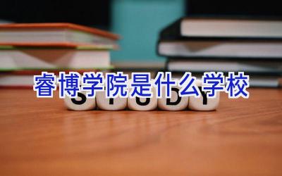 睿博学院是什么学校插图