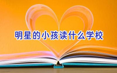 明星的小孩读什么学校插图