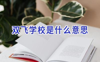 双飞学校是什么意思插图