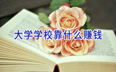 大学学校靠什么赚钱插图