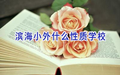 滨海小外什么性质学校插图