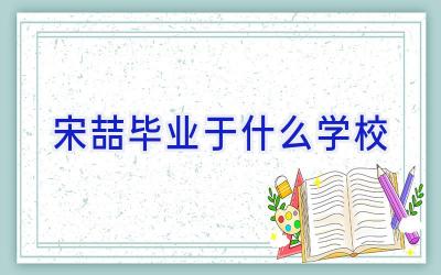 宋喆毕业于什么学校插图