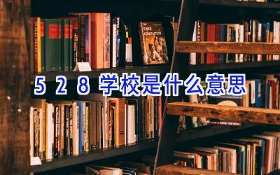 528学校是什么意思插图