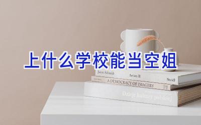 上什么学校能当空姐插图