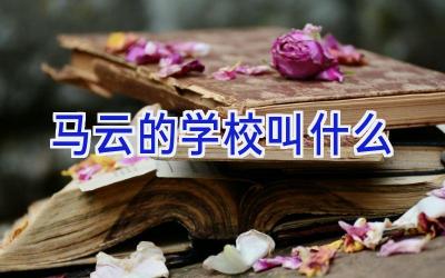 马云的学校叫什么插图