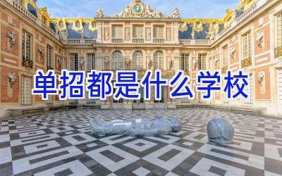 单招都是什么学校插图