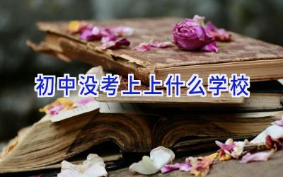 初中没考上上什么学校插图
