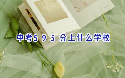 中考595分上什么学校插图