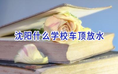 沈阳什么学校车顶放水插图
