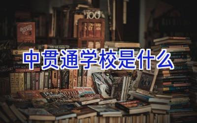 中贯通学校是什么插图