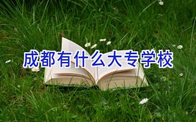 成都有什么大专学校插图