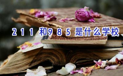 211和985是什么学校插图