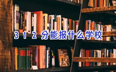 312分能报什么学校插图
