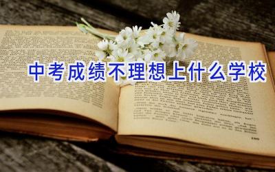中考成绩不理想上什么学校插图