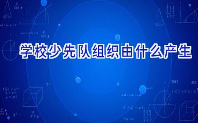 学校少先队组织由什么产生插图