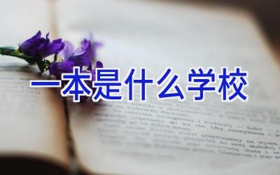 一本是什么学校