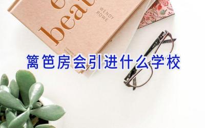 篱笆房会引进什么学校插图