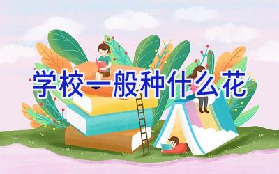 学校一般种什么花插图