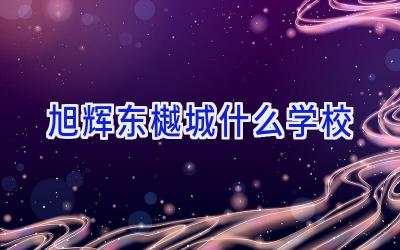旭辉东樾城什么学校插图