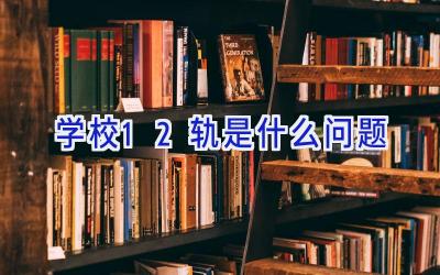 学校12轨是什么问题插图