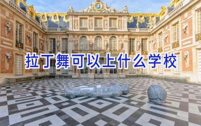 拉丁舞可以上什么学校插图