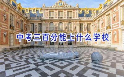 中考三百分能上什么学校插图