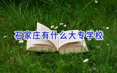 石家庄有什么大专学校插图