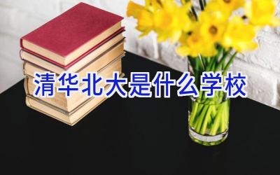 清华北大是什么学校插图