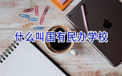 什么叫国有民办学校插图