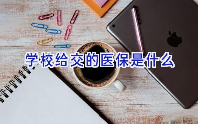 学校给交的医保是什么插图