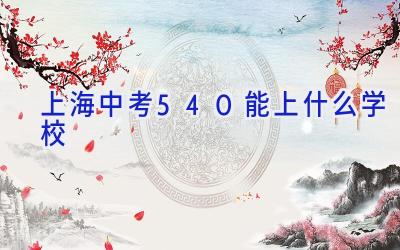 上海中考540能上什么学校