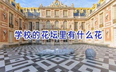 学校的花坛里有什么花插图