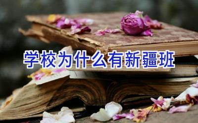 学校为什么有新疆班插图