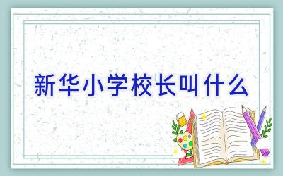 新华小学校长叫什么插图