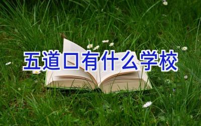 五道口有什么学校插图