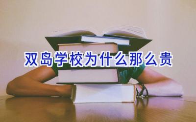 双岛学校为什么那么贵插图