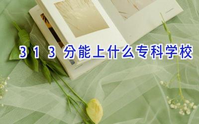 313分能上什么专科学校